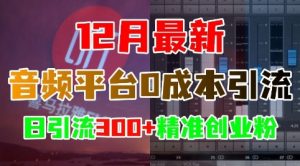 12月最新:音频平台0成本引流,日引流300+精准创业粉-大齐资源站