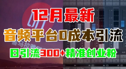 12月最新：音频平台0成本引流，日引流300+精准创业粉-大齐资源站