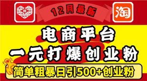 12月最新：电商平台1元打爆创业粉，简单粗暴日引500+精准创业粉，轻松月入过W【揭秘】-大齐资源站