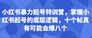 小红书暴力起号特训营，掌握小红书起号的底层逻辑，十个帖真有可能会爆八个-大齐资源站