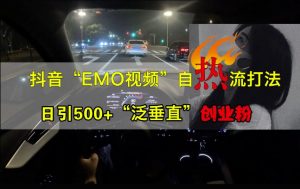 抖音EMO视频自热打法,日引500+“泛垂直”创业粉-大齐资源站