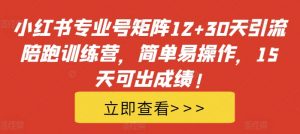小红书专业号矩阵12+30天引流陪跑训练营，简单易操作，15天可出成绩!-大齐资源站
