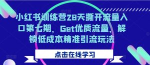 小红书训练营28天撕开流量入口第七期，Get优质流量，解锁低成本精准引流玩法-大齐资源站