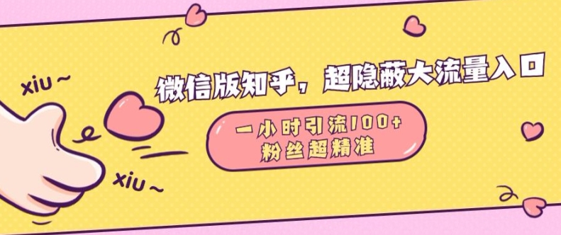 微信版知乎，超隐蔽流量入口1小时引流100人，粉丝质量超高【揭秘】-大齐资源站