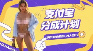 利用海外靶场射击视频，挣支付宝分成收益，轻松月入过W【揭秘】-大齐资源站