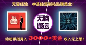 无需经验，0基础复制粘贴赚美刀，动动手指，月入3000+刀，无上限【揭秘】-大齐资源站