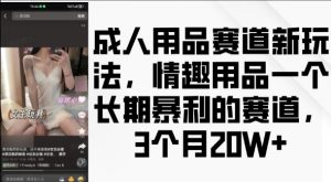 成人用品赛道新玩法，情趣用品一个长期暴利的赛道，3个月收益20个【揭秘】-大齐资源站
