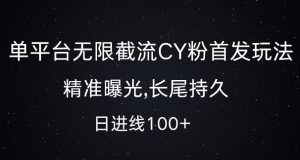 单平台无限截流创业粉首发玩法,精准曝光,长尾持久,日引流100+【揭秘】-大齐资源站