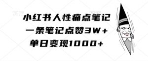 小红书人性痛点笔记,一条笔记点赞3W+,单日变现1k-大齐资源站