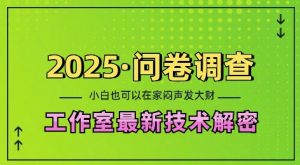 2025问卷调查最新工作室技术解密：一个人在家也可以闷声发大财，小白一天2张，可矩阵放大【揭秘】-大齐资源站