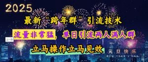 最新“跨年群”引流,流量非常猛,单日引流两人满人群,立马操作立马见效【揭秘】-大齐资源站