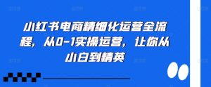 小红书电商精细化运营全流程，从0-1实操运营，让你从小白到精英-大齐资源站