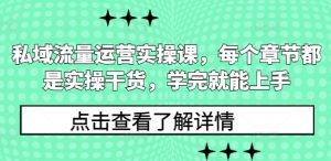 私域流量运营实操课，每个章节都是实操干货，学完就能上手-大齐资源站