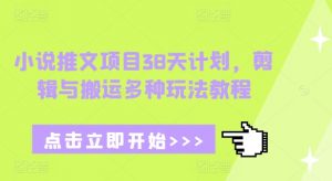 小说推文项目38天计划，剪辑与搬运多种玩法教程-大齐资源站
