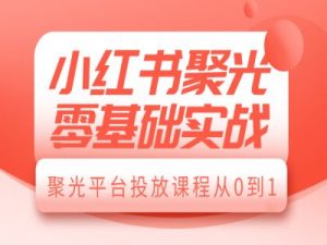 小红书聚光零基础实战，聚光平台投放课程从0到1-大齐资源站