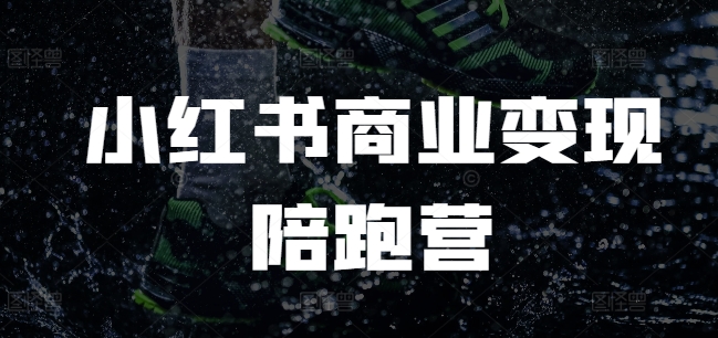 小红书商业变现陪跑营，小红书电商教程-大齐资源站