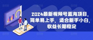 2024最新视频号蓝海项目，简单易上手，适合新手小白，收益长期稳定-大齐资源站