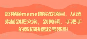 短视频meme猫实战项目，从选素材到把文案，到剪辑，手把手的教你快速起号涨粉-大齐资源站