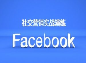 Facebook社交营销实战演练,外贸人绝对不能错过的营销推广平台-大齐资源站