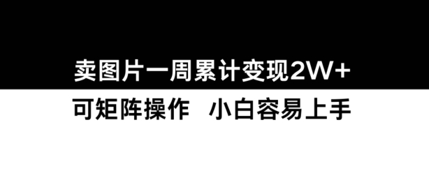 小红书【卖图片】一周累计变现2W+小白易上手-大齐资源站