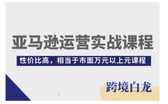 亚马逊运营实战课程，亚马逊从入门到精通，性价比高，相当于市面万元以上元课程-大齐资源站