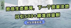 微信生态新宠小绿书：下一个流量洼地，日引500+精准创业粉，粉丝质量超高-大齐资源站