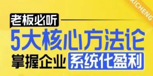 【老板必听】5大核心方法论，掌握企业系统化盈利密码-大齐资源站