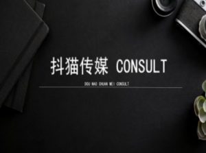 抖猫学院小红书聚光详细操作流程实操-大齐资源站