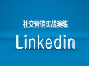 社交营销实战演练之Linkedin营销课程，B2B跨境外贸的新出路-大齐资源站