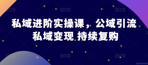 私域进阶实操课，公域引流 私域变现 持续复购-大齐资源站