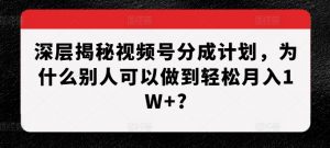 深层揭秘视频号分成计划，为什么别人可以做到轻松月入1W+?-大齐资源站