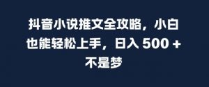抖音小说推文全攻略，小白也能轻松上手，日入 5张+ 不是梦【揭秘】-大齐资源站
