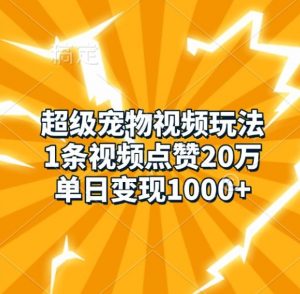 超级宠物视频玩法，1条视频点赞20万，单日变现1k-大齐资源站