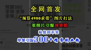 小红书“预算4980带我飞”图片打法,一张图片引爆创业粉,私信回不完,单条引流300+精准创业粉-大齐资源站