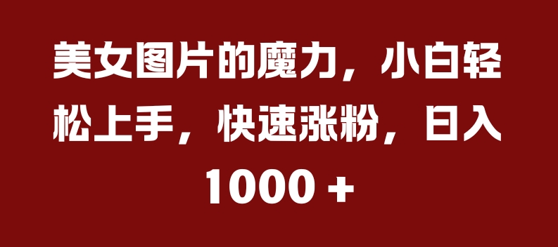美女图片的魔力，小白轻松上手，快速涨粉，日入几张【揭秘】-大齐资源站