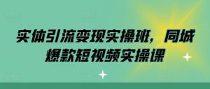 实体引流变现实操班,同城爆款短视频实操课-大齐资源站