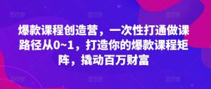 爆款课程创造营,一次性打通做课路径从0~1,打造你的爆款课程矩阵,撬动百万财富-大齐资源站