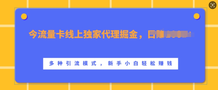 流量卡线上独家代理掘金，日入1k+ ，多种引流模式，新手小白轻松上手【揭秘】-大齐资源站