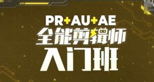 PR+AU+AE全能剪辑师入门班,剪辑入门必学课程-大齐资源站