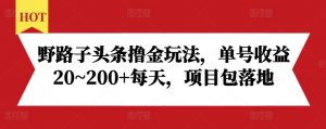 野路子头条撸金玩法，单号收益20~200+每天，项目包落地-大齐资源站
