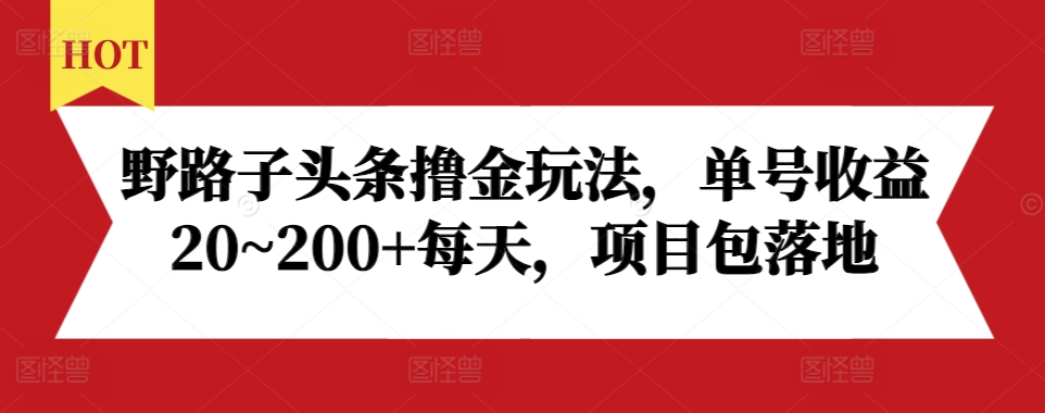 野路子头条撸金玩法，单号收益20~200+每天，项目包落地-大齐资源站