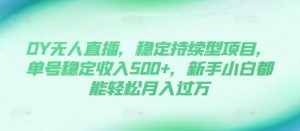 DY无人直播，稳定持续型项目，单号稳定收入500+，新手小白都能轻松月入过万【揭秘】-大齐资源站