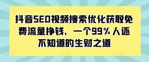 抖音SEO视频搜索优化获取免费流量挣钱，一个99%人还不知道的生财之道-大齐资源站