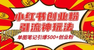 小红书创业粉引流神玩法，单图笔记引爆500+精准创业粉丝，私信狂潮接连不断-大齐资源站
