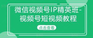 微信视频号IP精英班-视频号短视频教程-大齐资源站