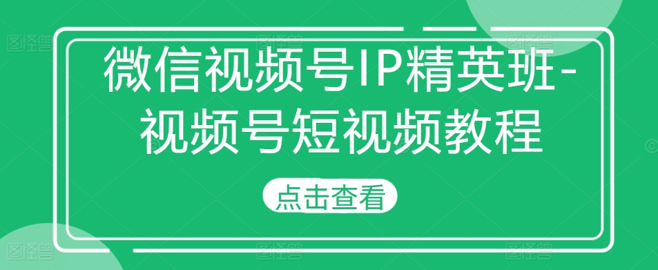 微信视频号IP精英班-视频号短视频教程-大齐资源站