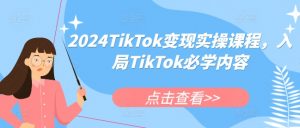 2024TikTok变现实操课程，入局TikTok必学内容-大齐资源站