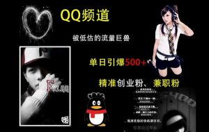 QQ频道:被低估的流量巨兽,单日引爆500+精准创业粉、兼职粉的引流秘籍-大齐资源站