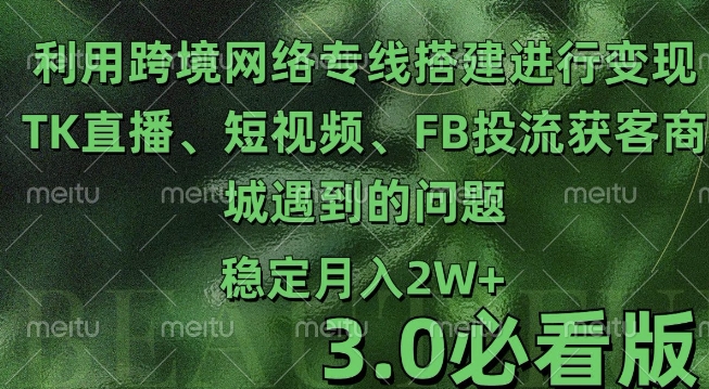 利用跨境电商网络及搭建TK直播、短视频、FB投流获客以及商城遇到的问题进行变现3.0必看版【揭秘】-大齐资源站