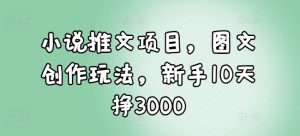 小说推文项目，图文创作玩法，新手10天挣3000-大齐资源站